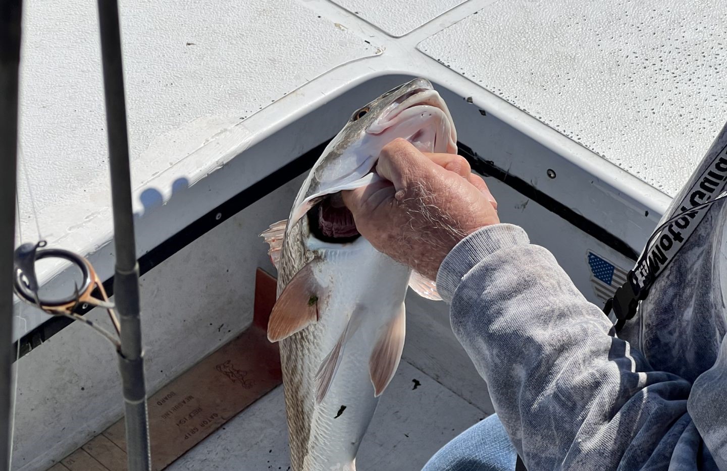Redfish caught during fishing trip in Jacksonville FL being held on boat deck
