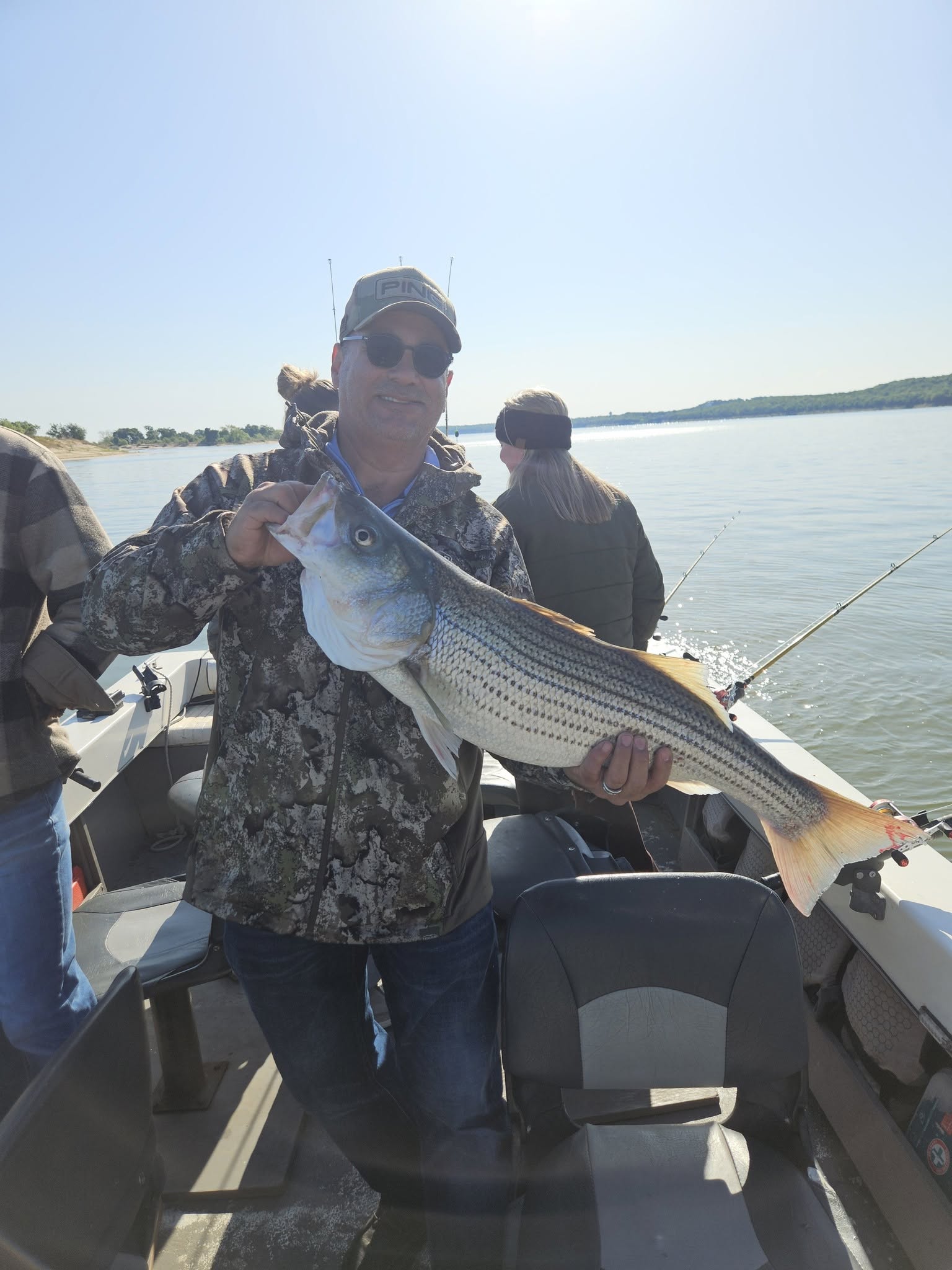 Freshly caught striped bass being displayed on fishing boat in Kingston OK