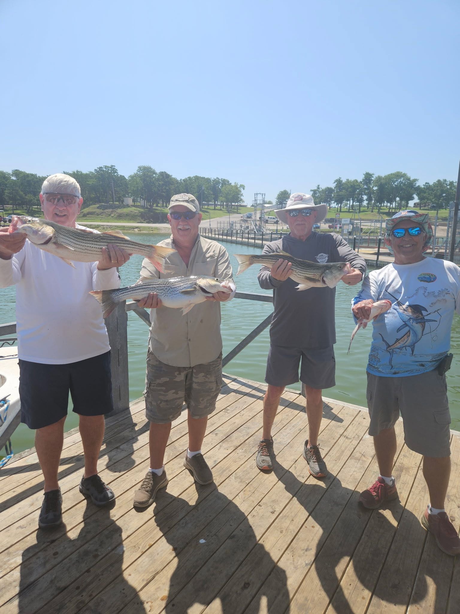 Four anglers displaying striped bass catch on wooden dock in Kingston OK