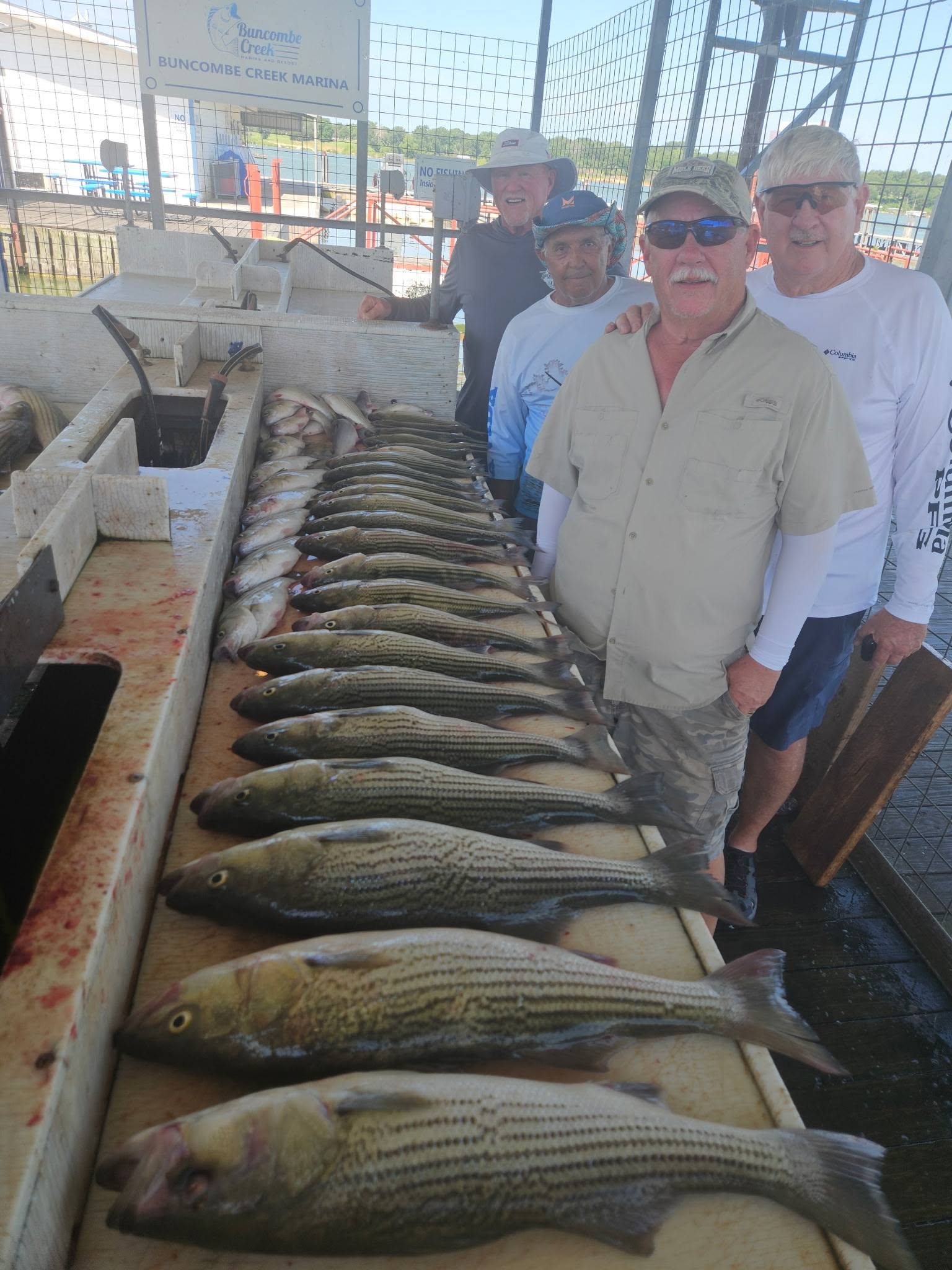 Multiple striped bass laid out on cleaning table at marina in Kingston OK after successful fishing trip