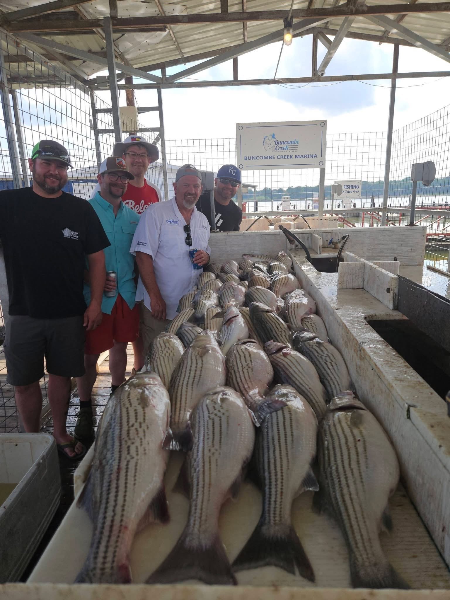 Large striped bass fishing catch displayed at Buncombe Creek Marina in Kingston Oklahoma