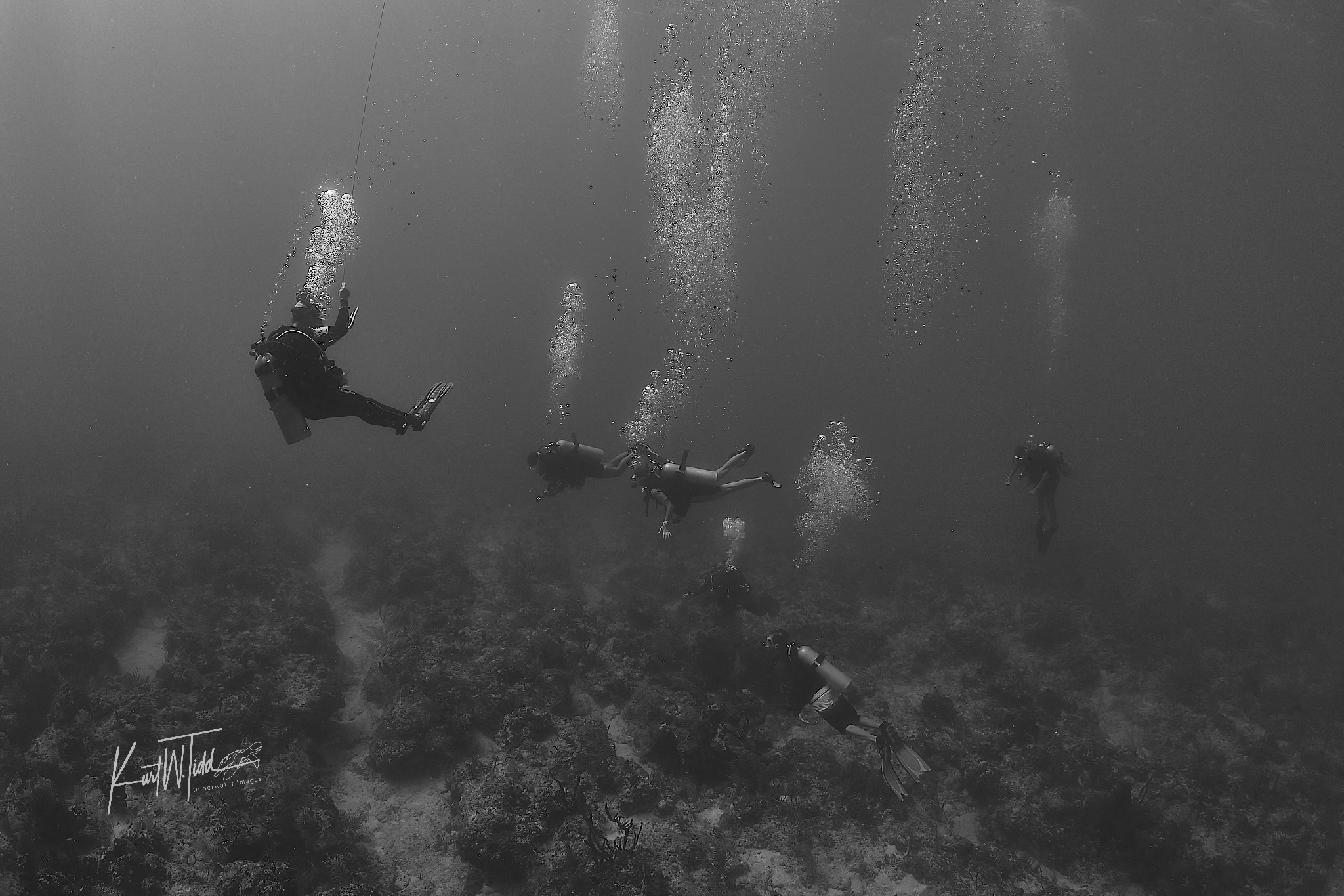 Exciting water sports adventure in FL