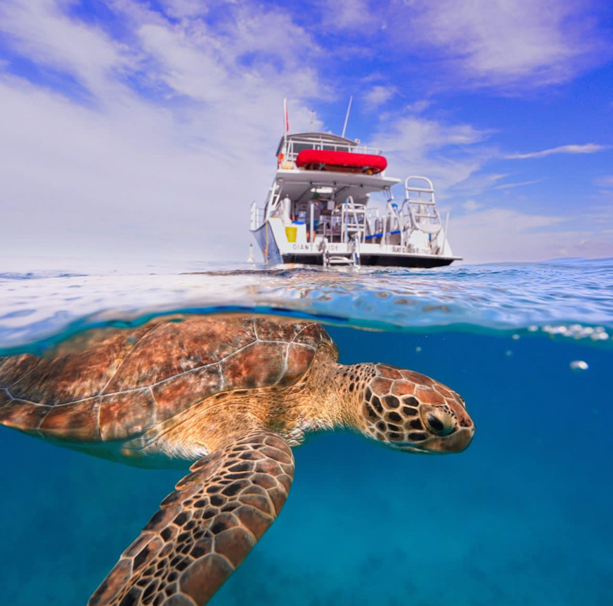 Breathtaking water sports adventure in Islamorada
