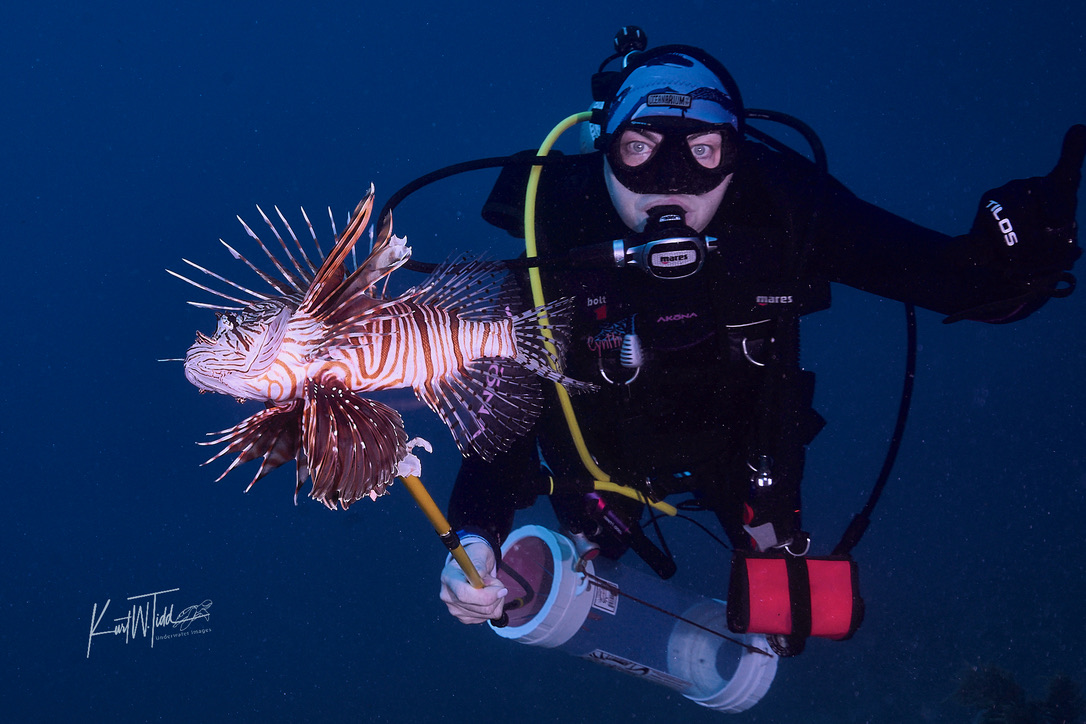 One red lionfish in the waters near Islamorada