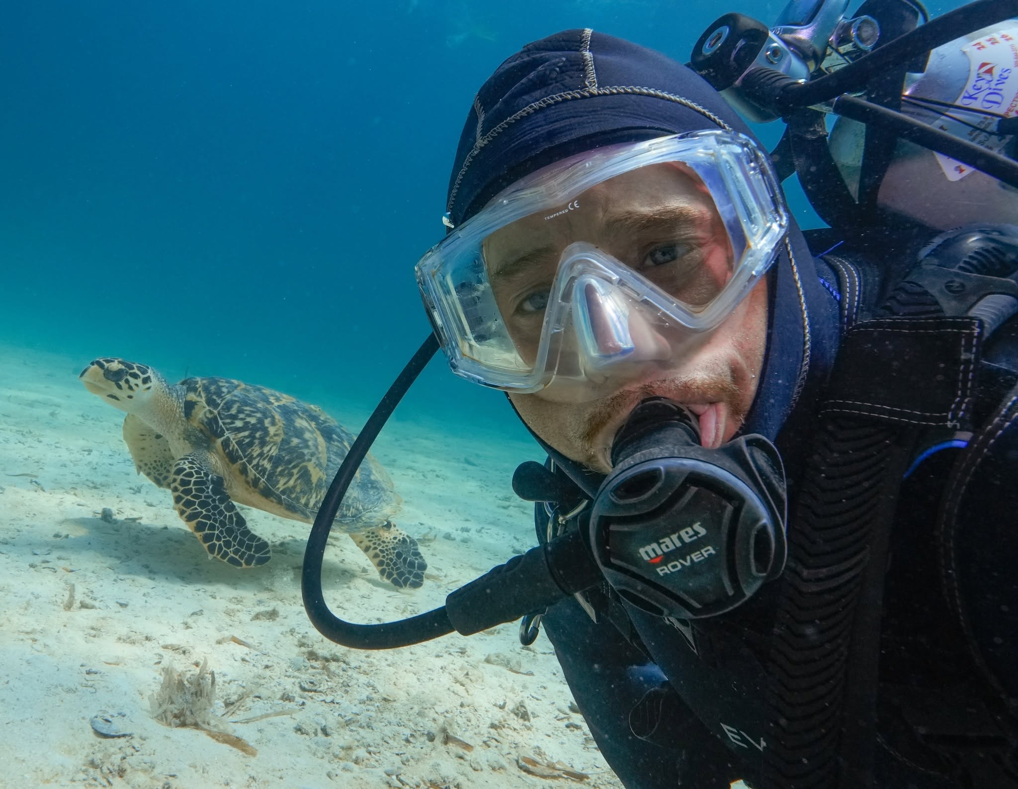 Scuba diver underwater with sea turtle on sandy ocean floor in Islamorada FL