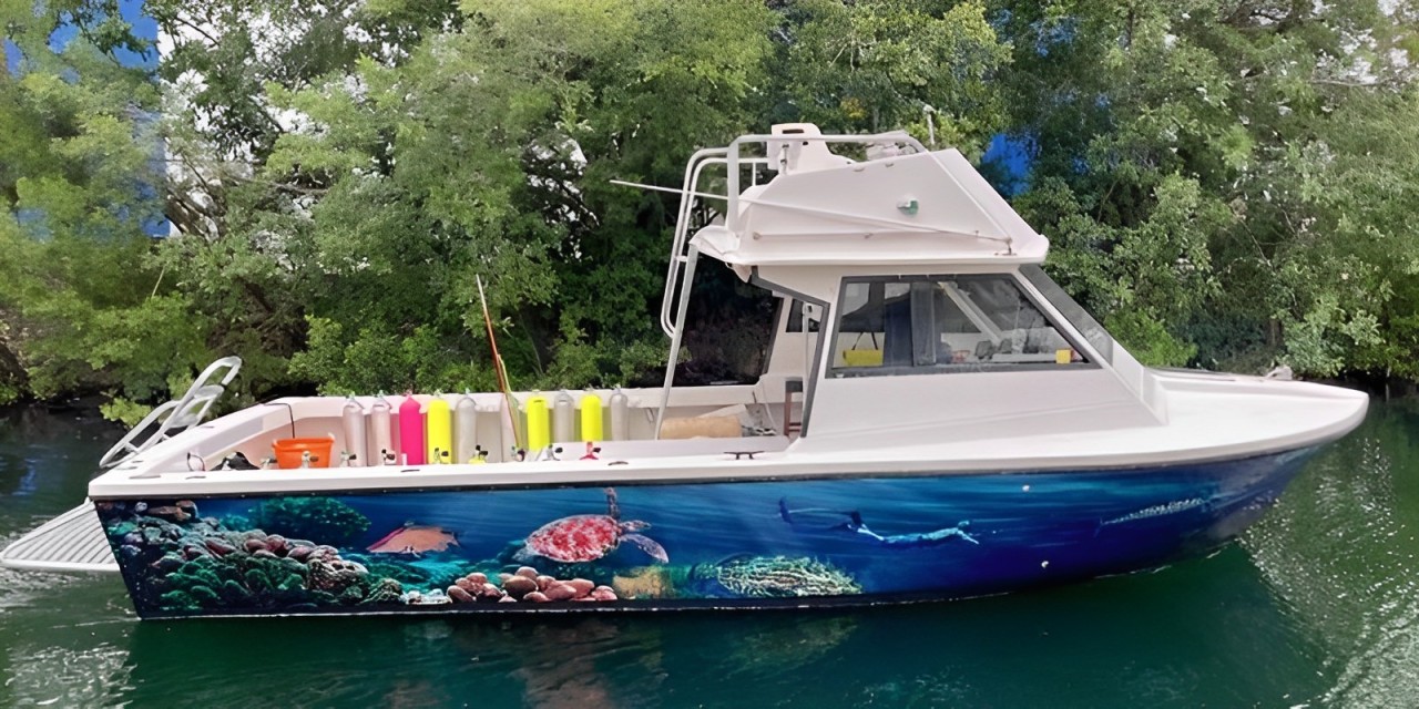 Turtle Hopper
