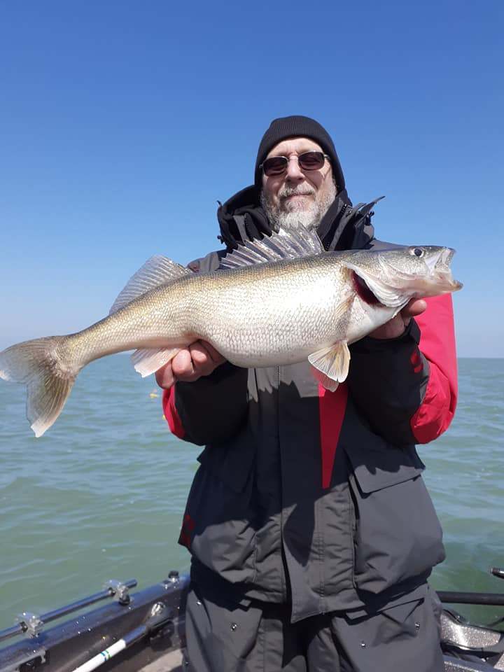 Sauger fish caught in Belleville