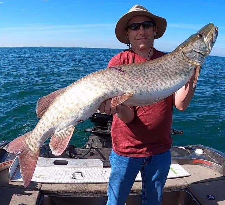 Muskellunge fish caught in MI while fishing
