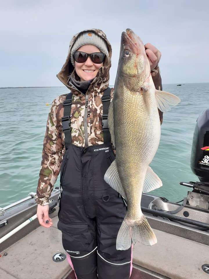 A single pike-perch fish being caught in MI