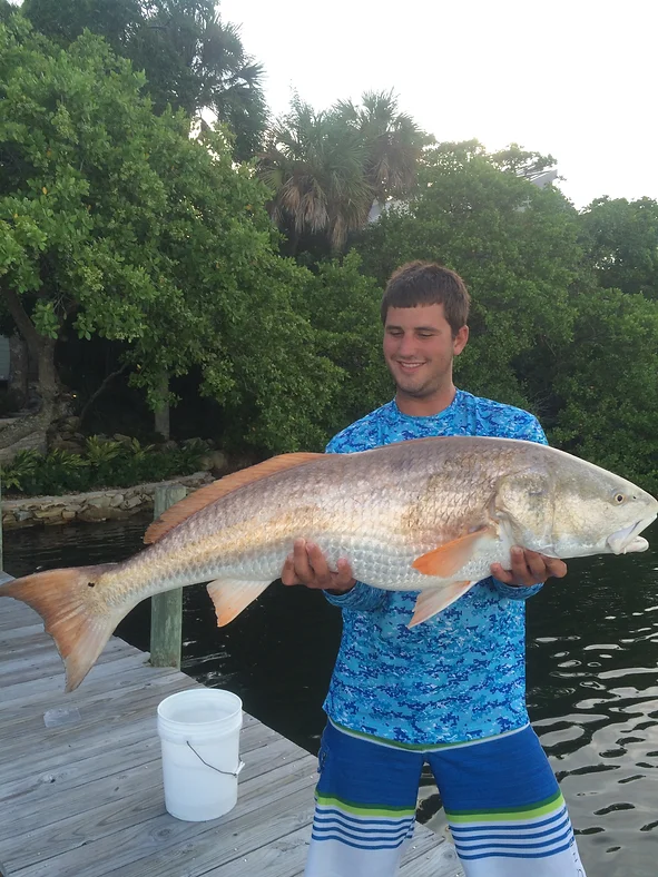 Redfish caught in FL