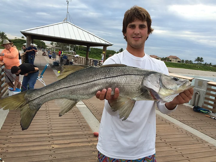 A single snook fish caught on a fishing trip at Merritt Island