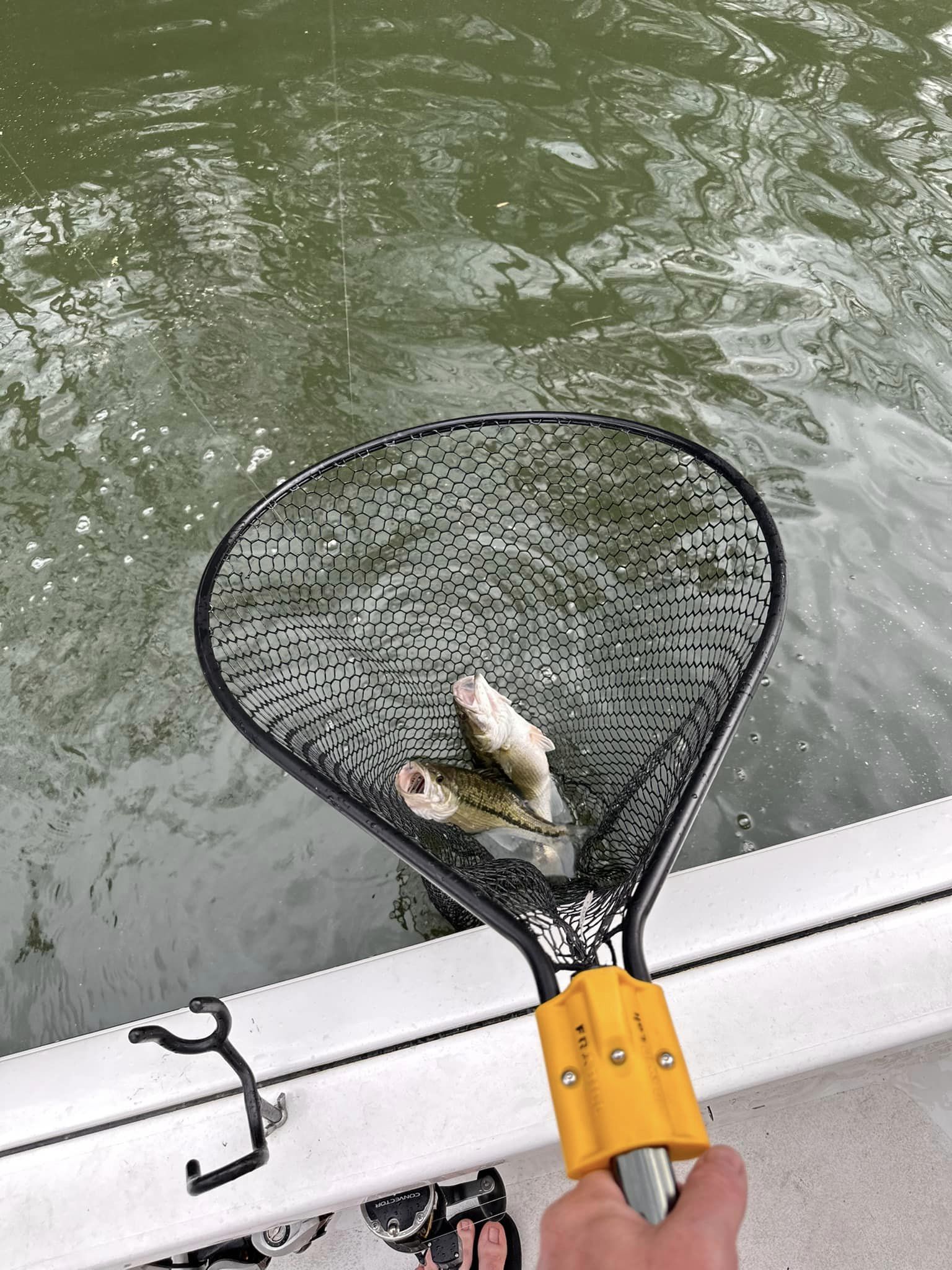 Fishing adventure in Ellijay
