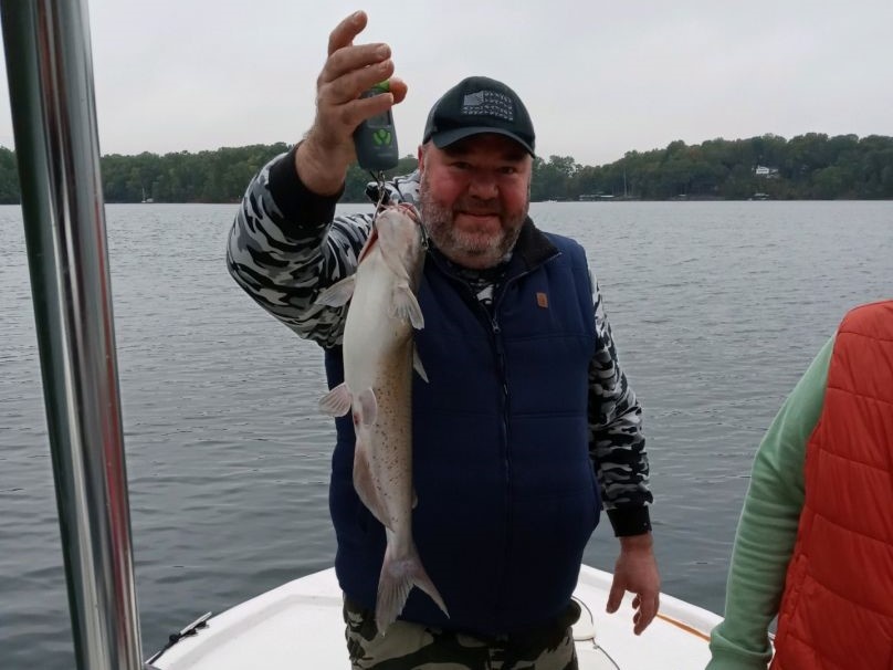 Hardhead Sea Catfish caught in Flowery Branch