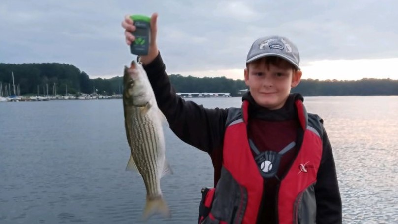 Striped bass caught in GA