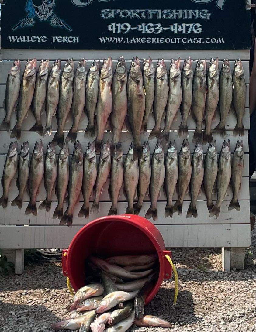 8 bluefish caught fishing in OH