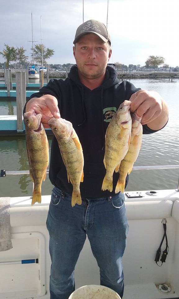 Three fish caught in Port Clinton