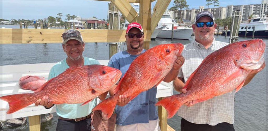 3 big fish caught at Orange Beach