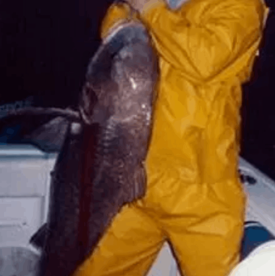 Fishing Charters New Jersey