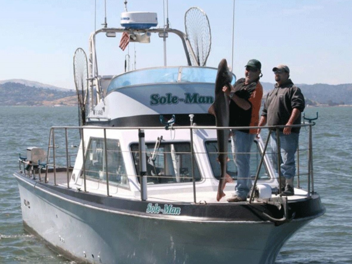 Catching a big blue catfish in San Francisco