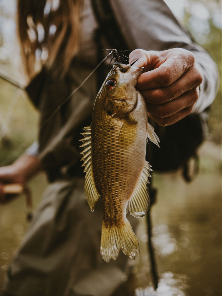 Fishing adventure in AZ