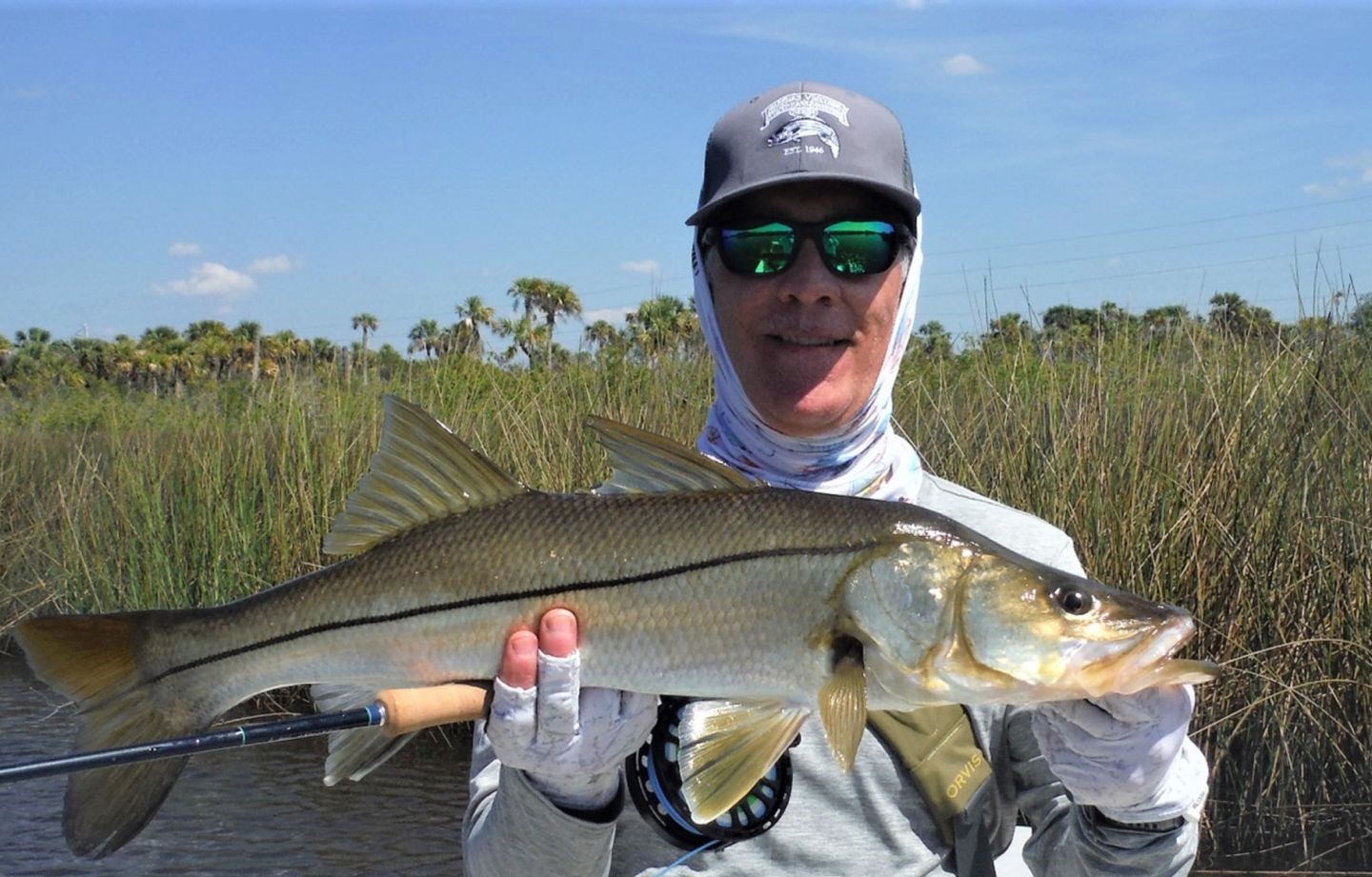 Snook fish caught while fishing in FL