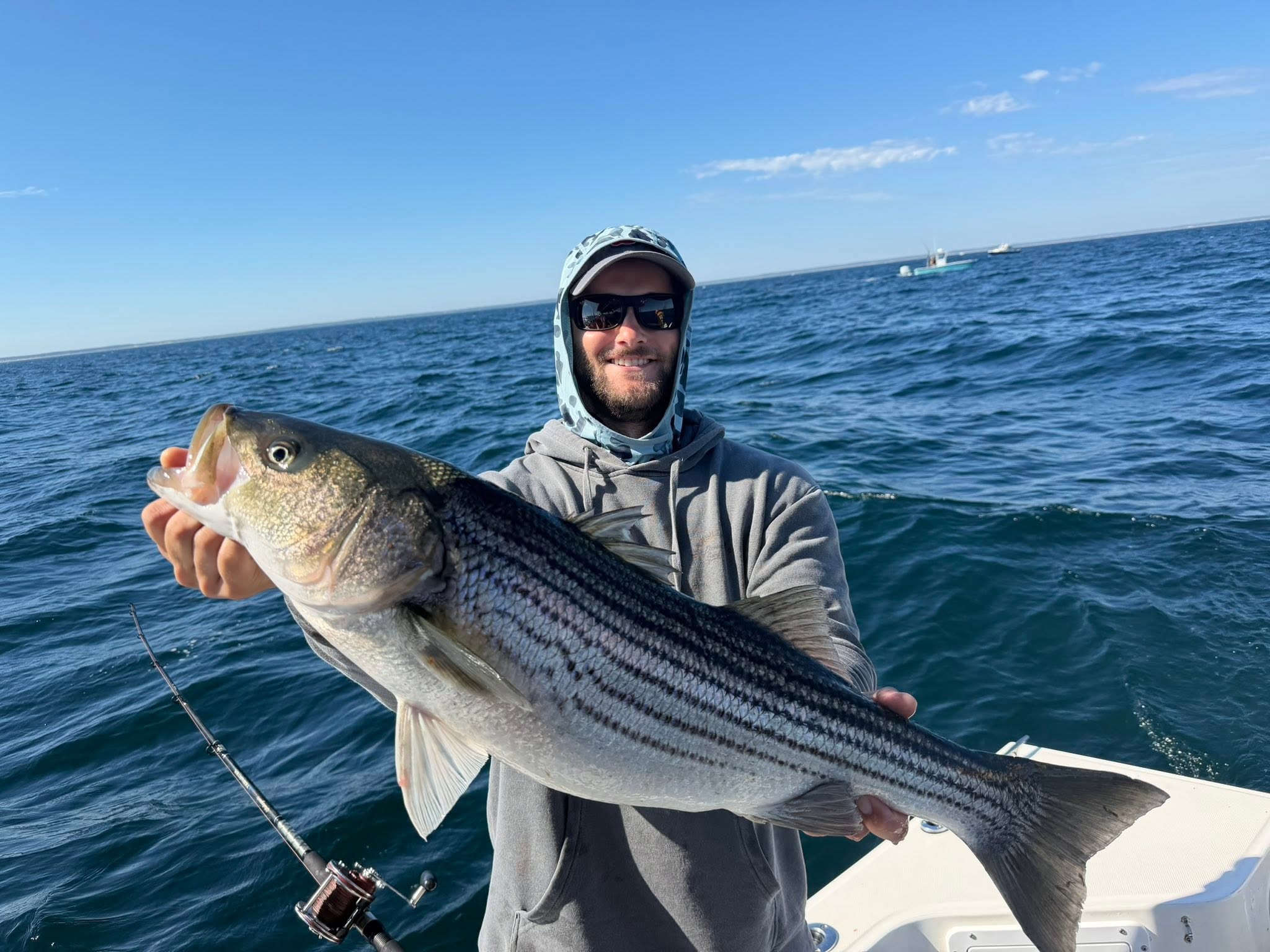 Striped bass caught while fishing in Barnstable MA waters