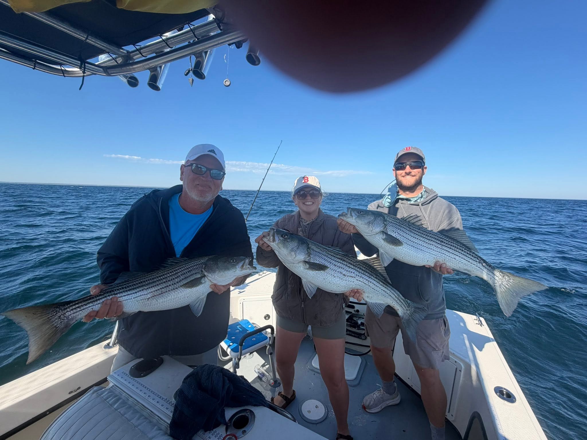Three striped bass caught during fishing charter in Barnstable MA