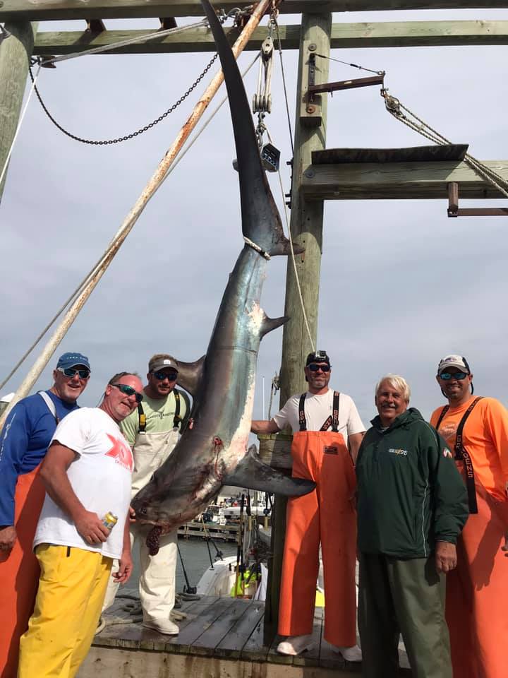 One king mackerel fishing in NJ