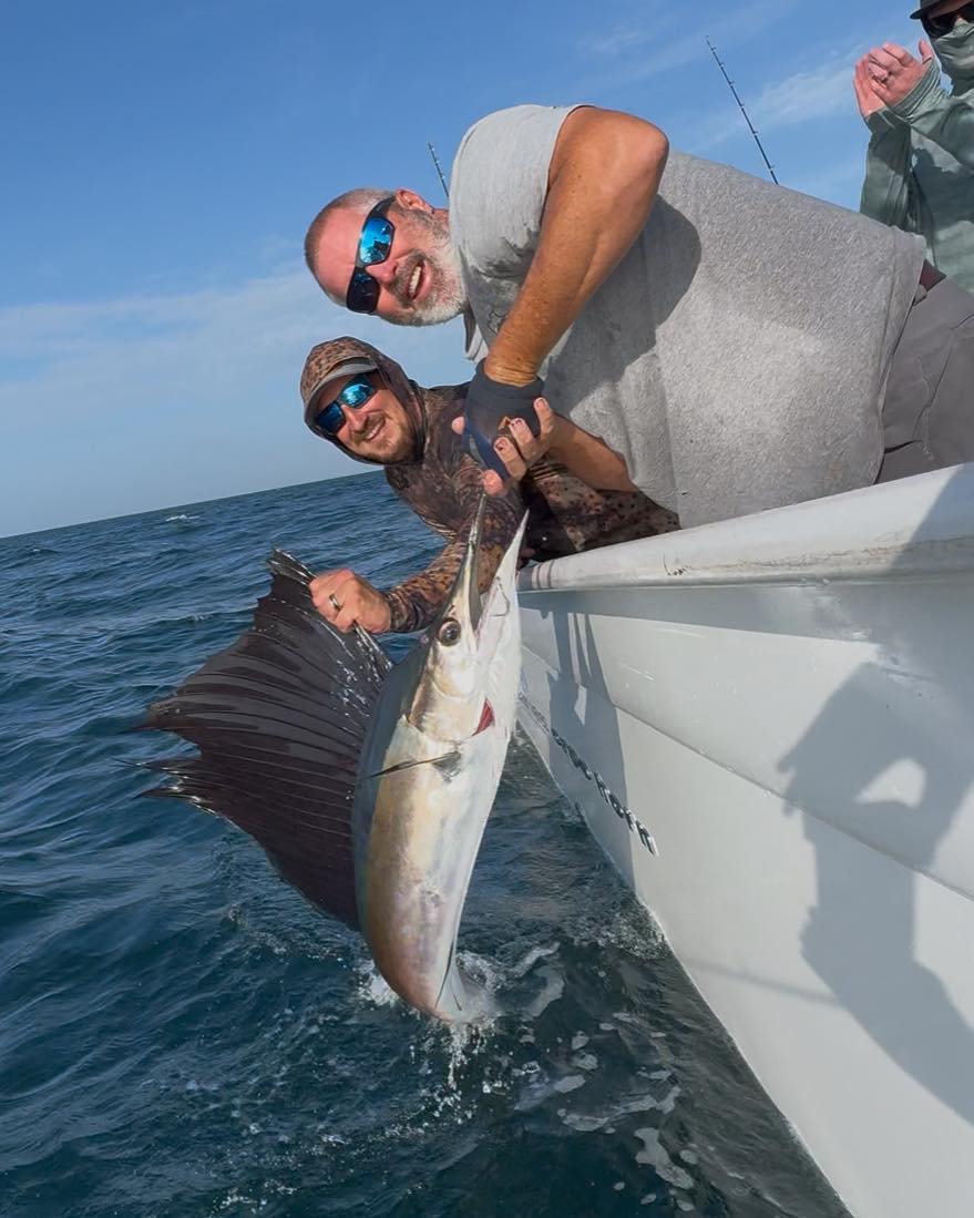 A single Atlantic Sailfish caught while fishing in FL