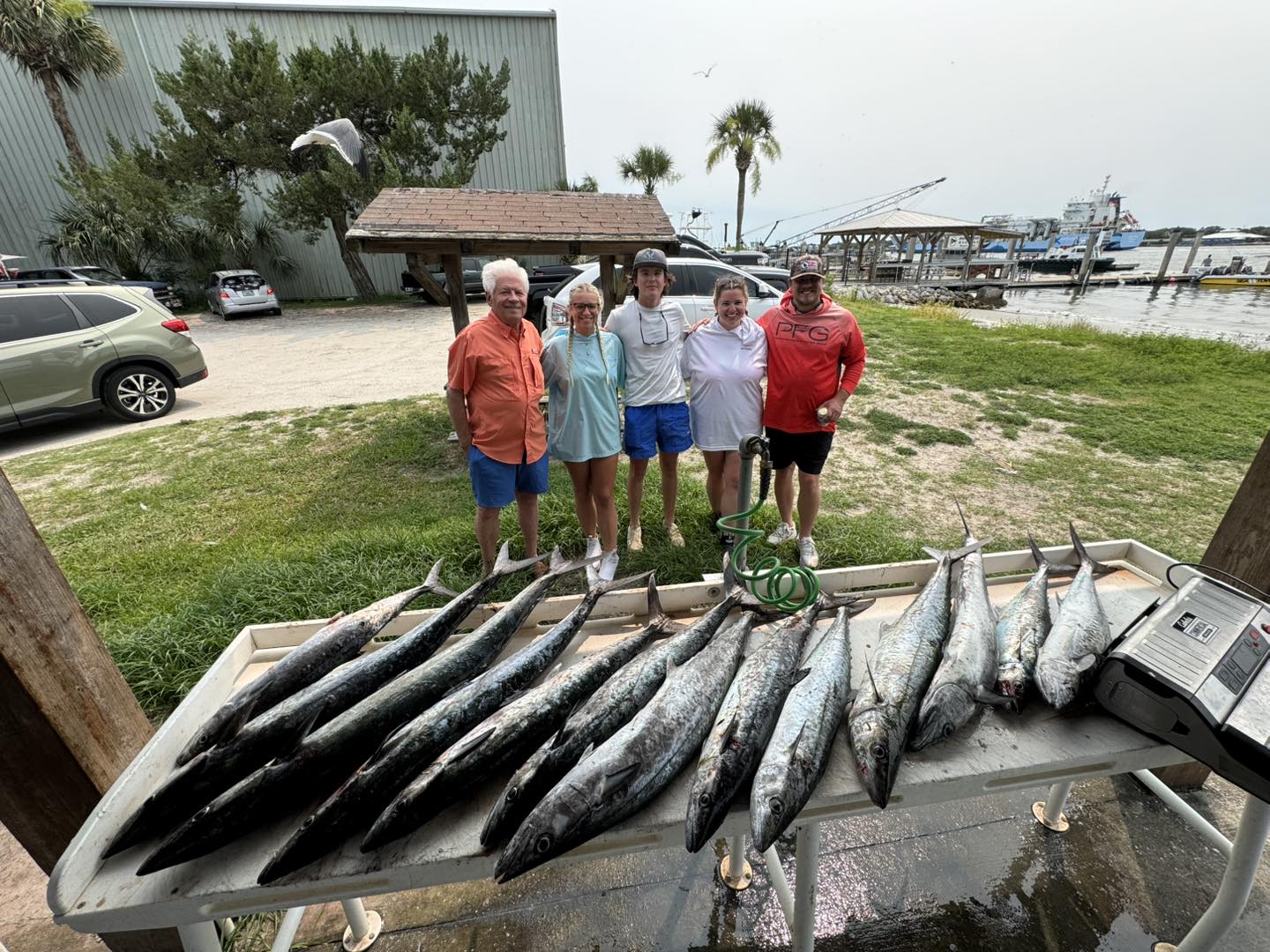 Three Cero Mackerel and King Mackerel, a great fishing catch in Jacksonville