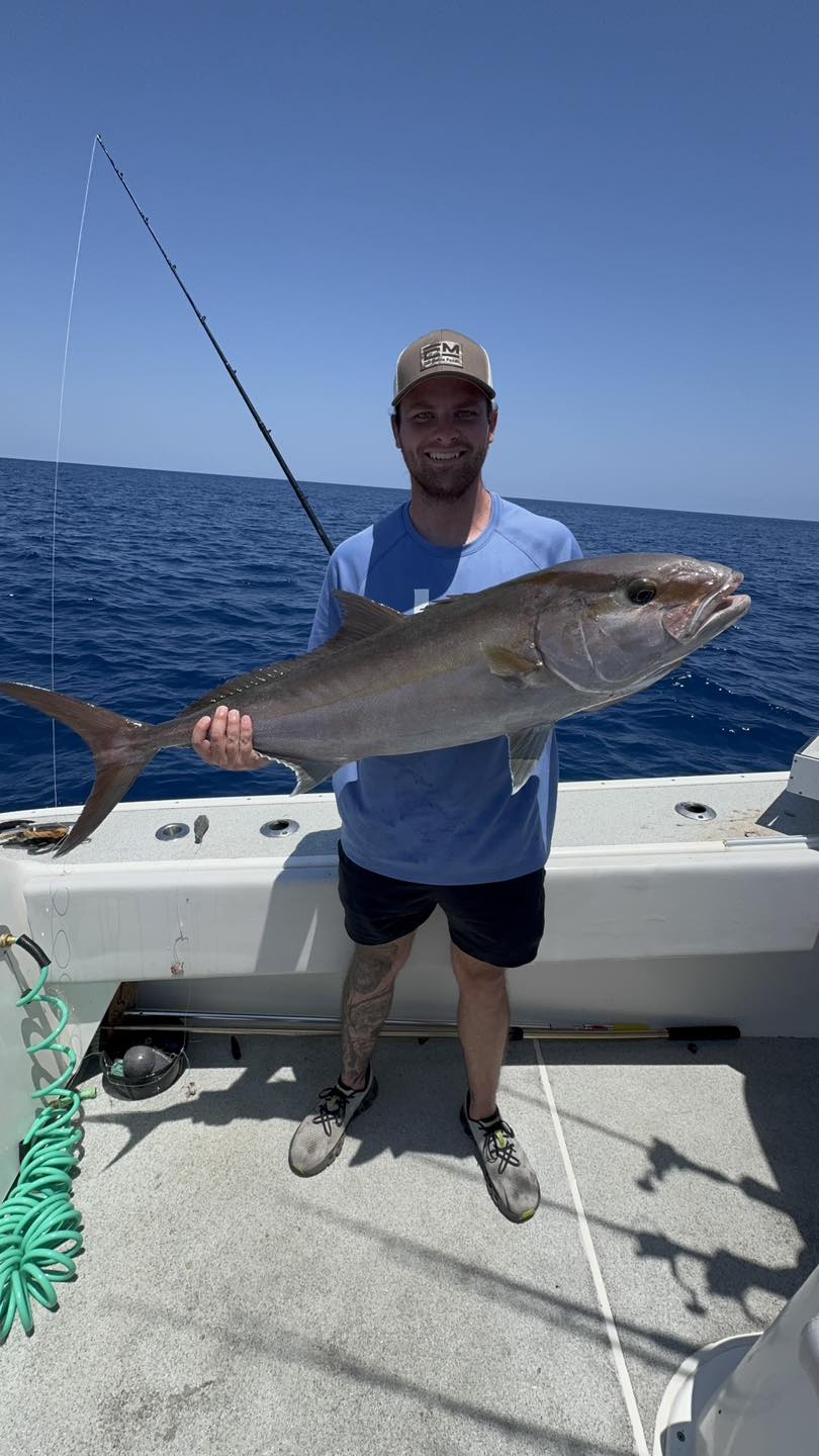 A lone greater amberjack, a 36-inch catch in Jacksonville