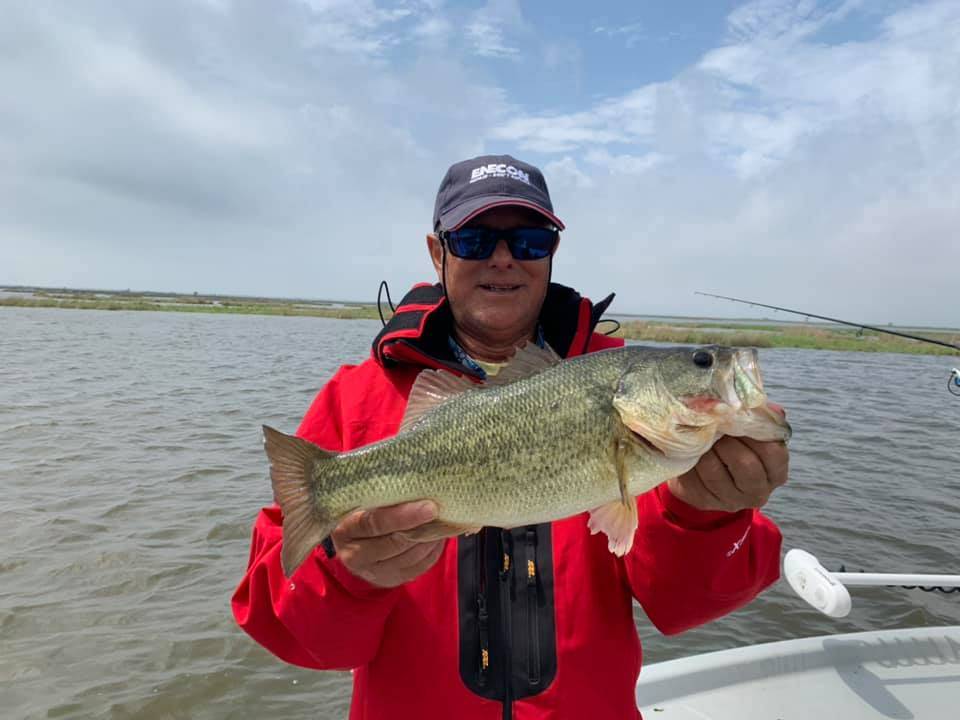 Largemouth bass caught in Saint Bernard