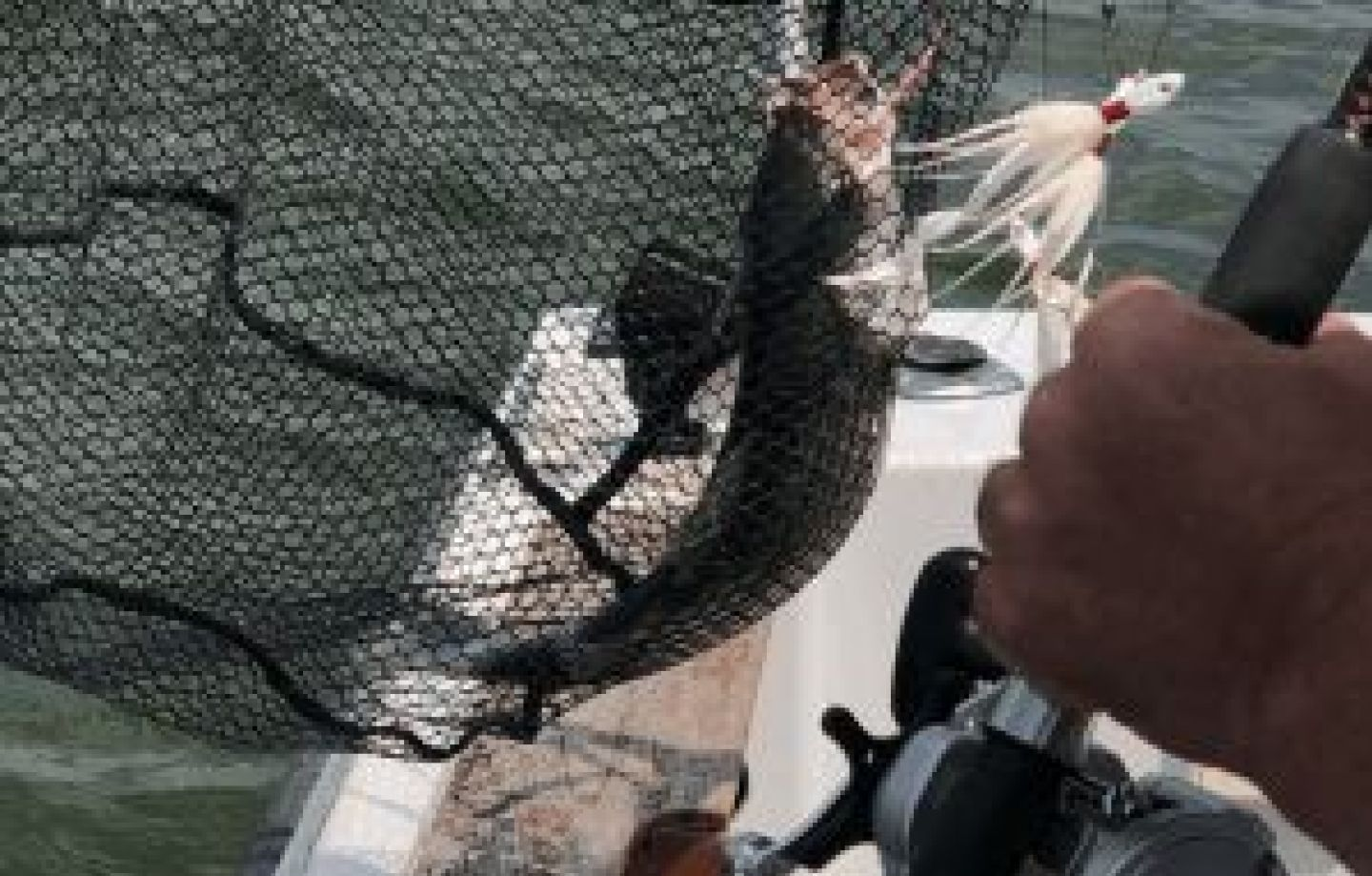 Fishing in Texas