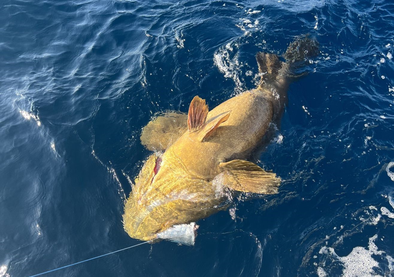 Angler fishing in Panama City