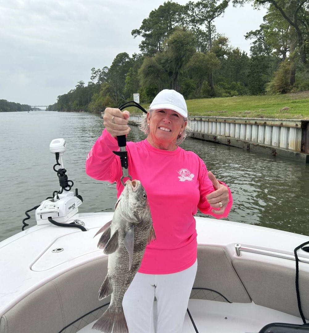 A fisherman catching a large black drum fish in Alabama