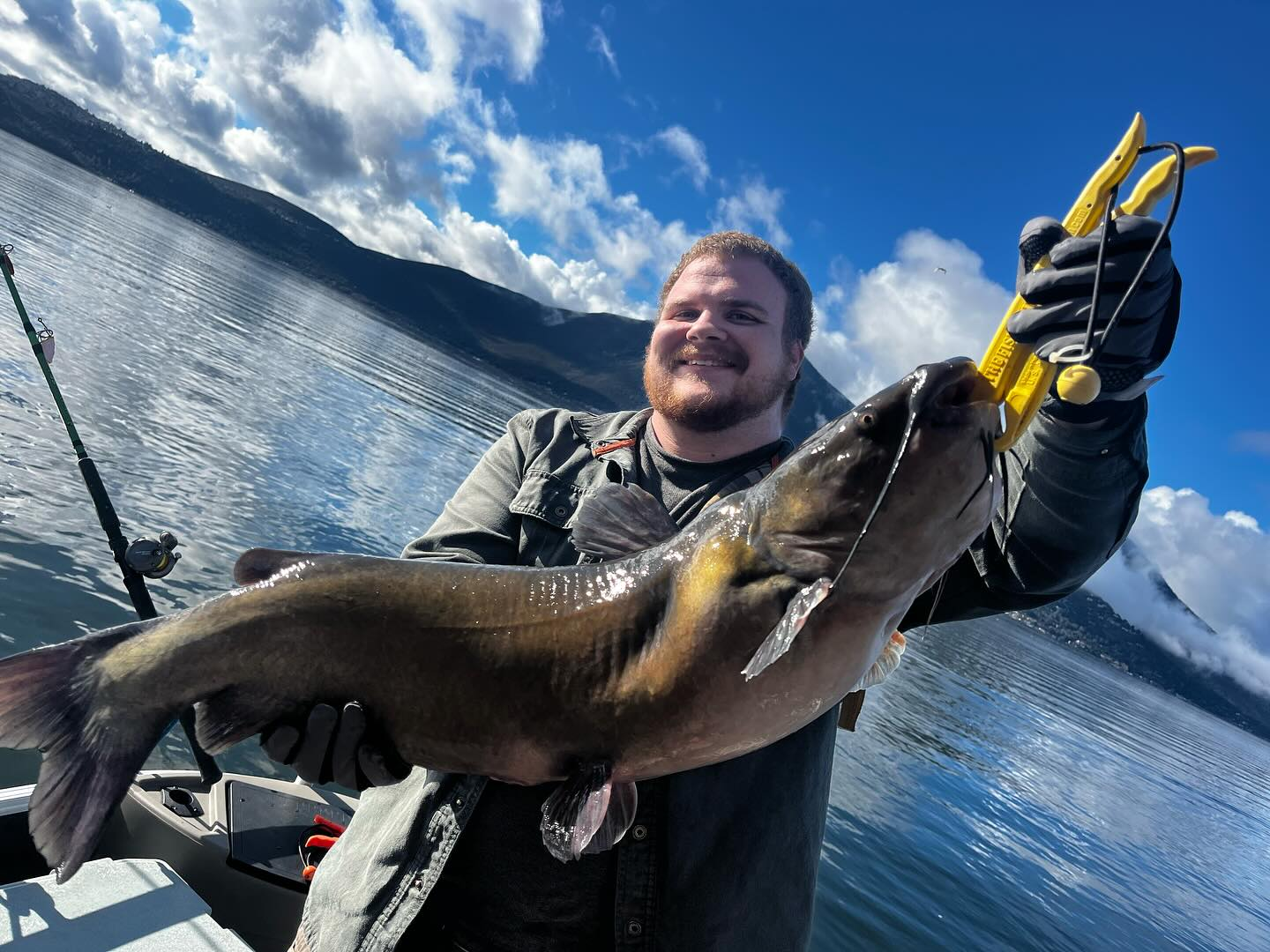 Hardhead Sea Catfish, 33 inches, caught while fishing in Clearlake