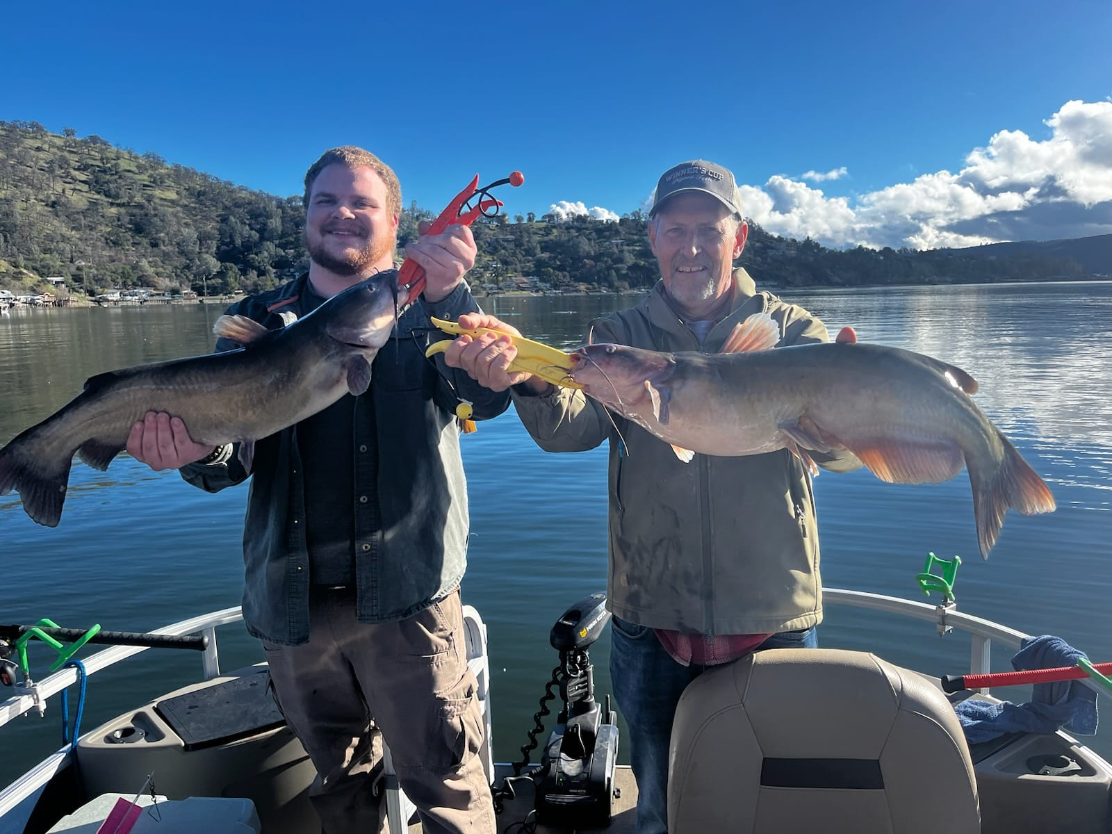 Two channel catfish and white catfish, 25 inches long, caught while fishing in CA