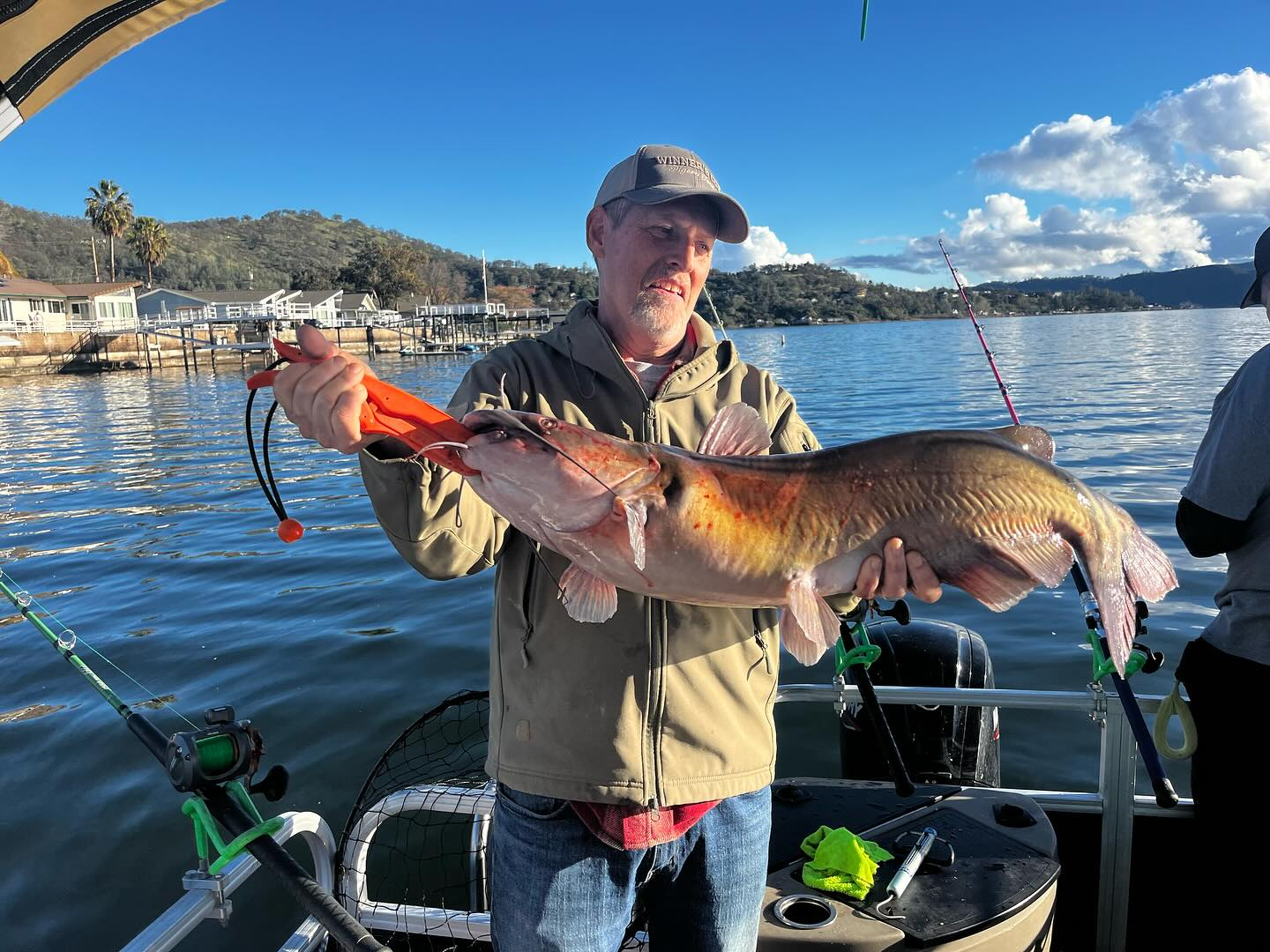 Wels catfish caught in Clearlake while fishing