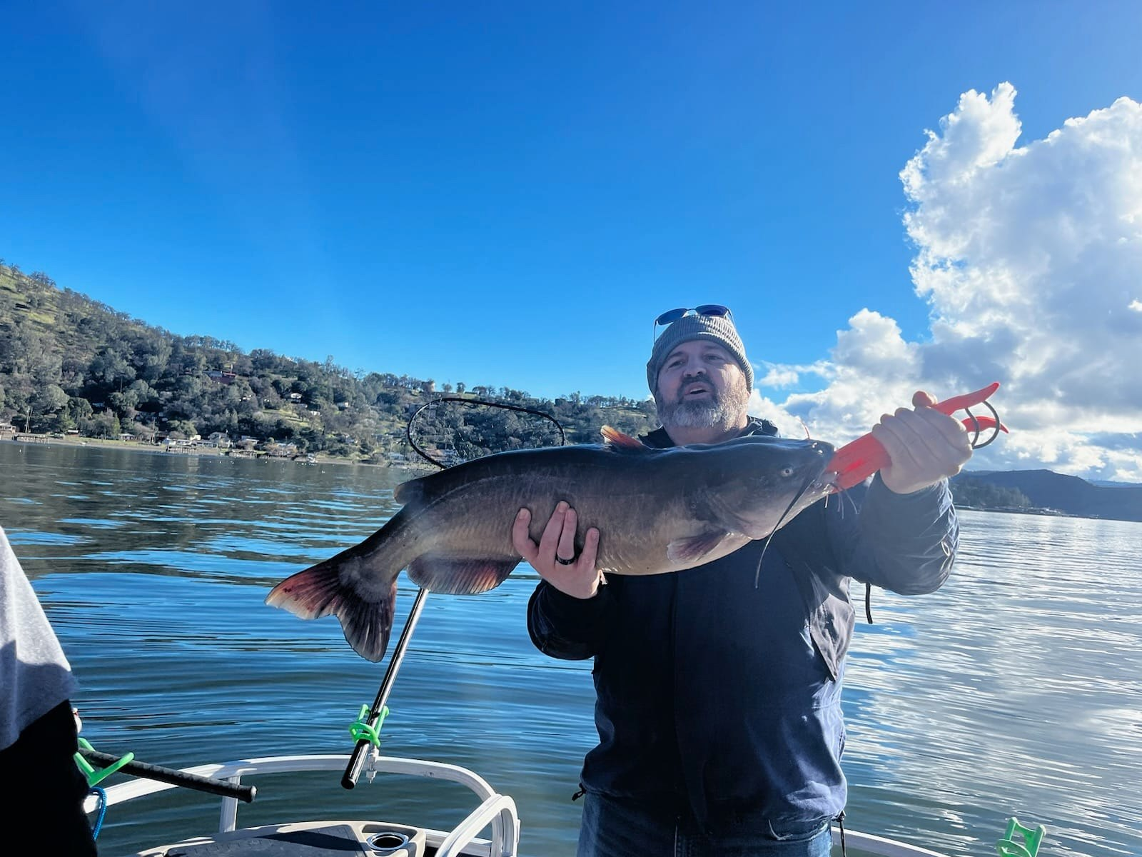 White catfish caught in CA