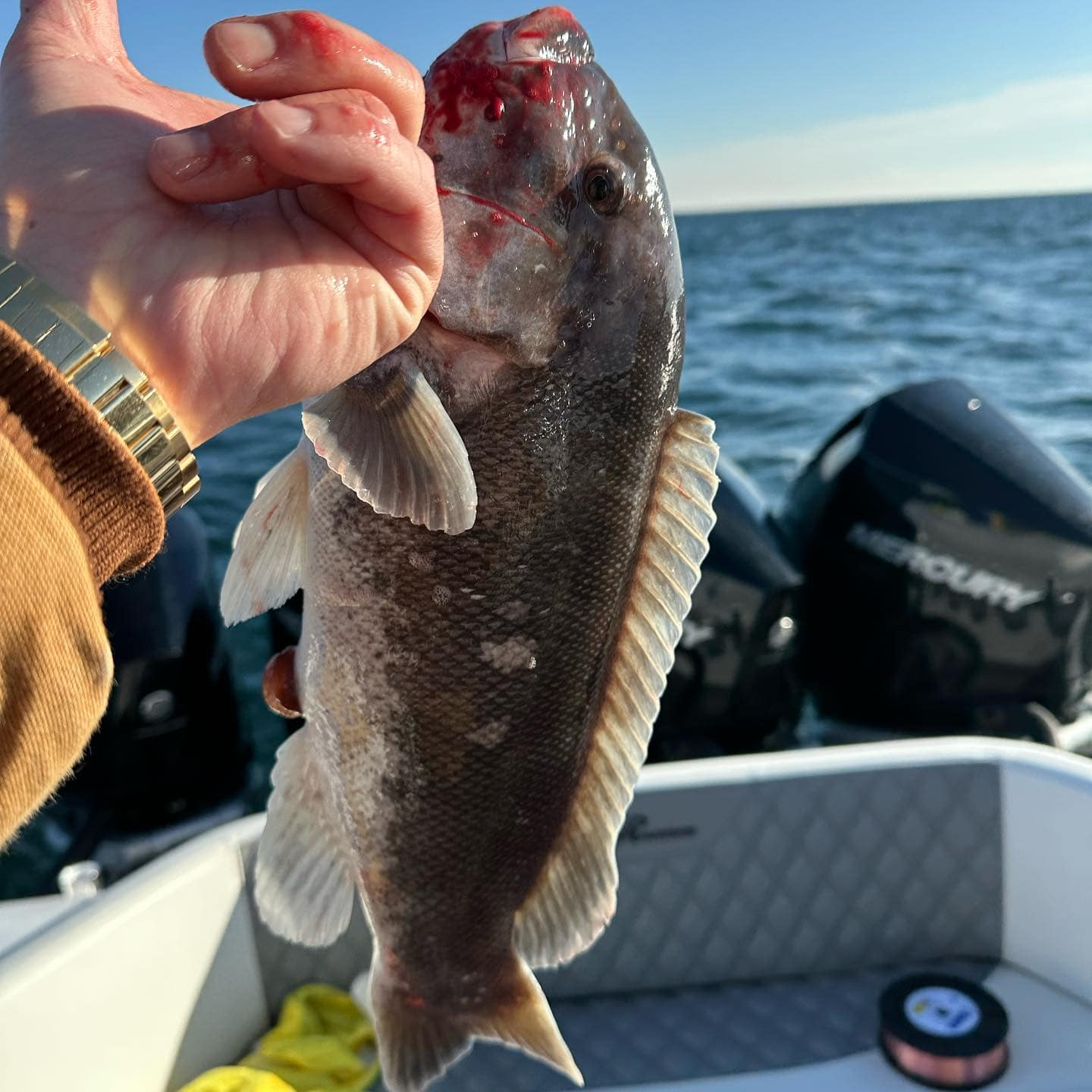 Fishing adventure in Brick Township