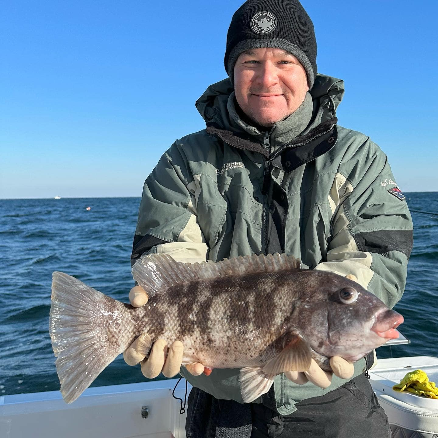 Tautog fish caught while fishing in New Jersey