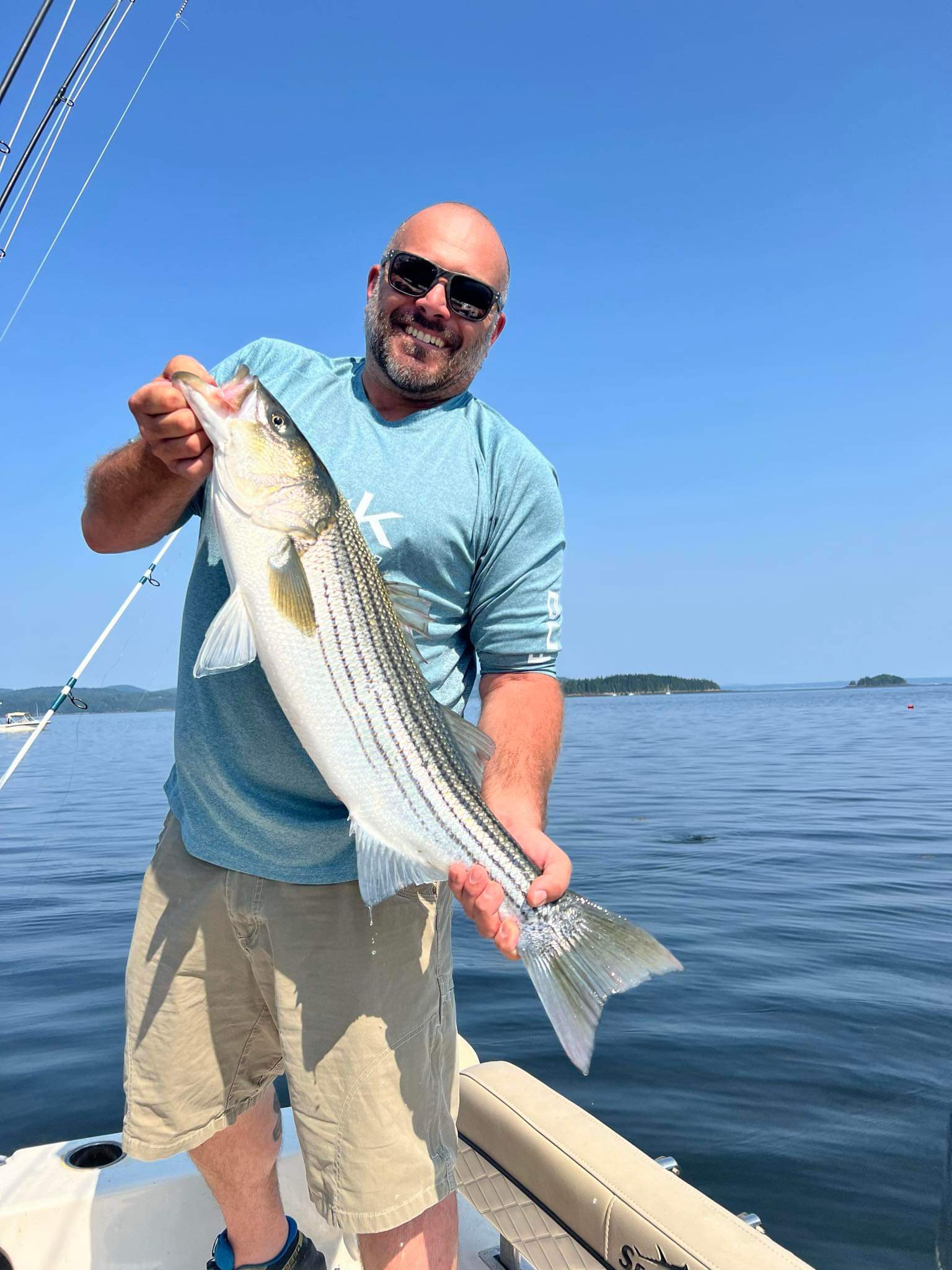 Striped bass catch on fishing charter boat in South Portland Maine waters