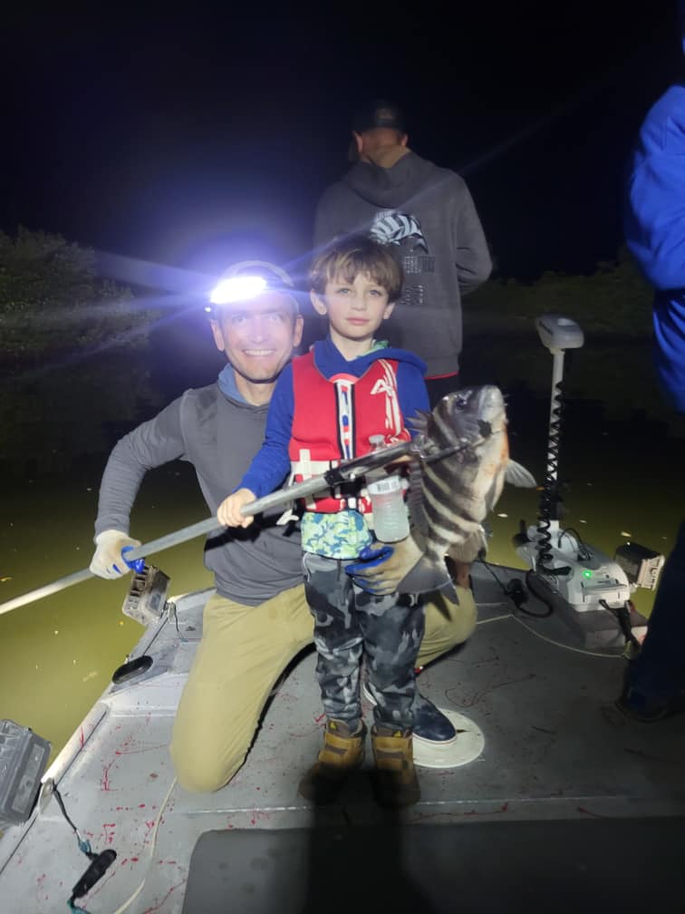 Sheepshead fish caught in Crystal River