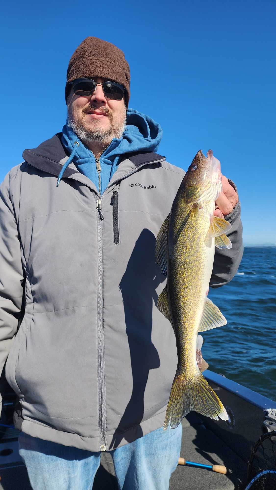 Walleye catch displayed on fishing boat in Breezy Point MN