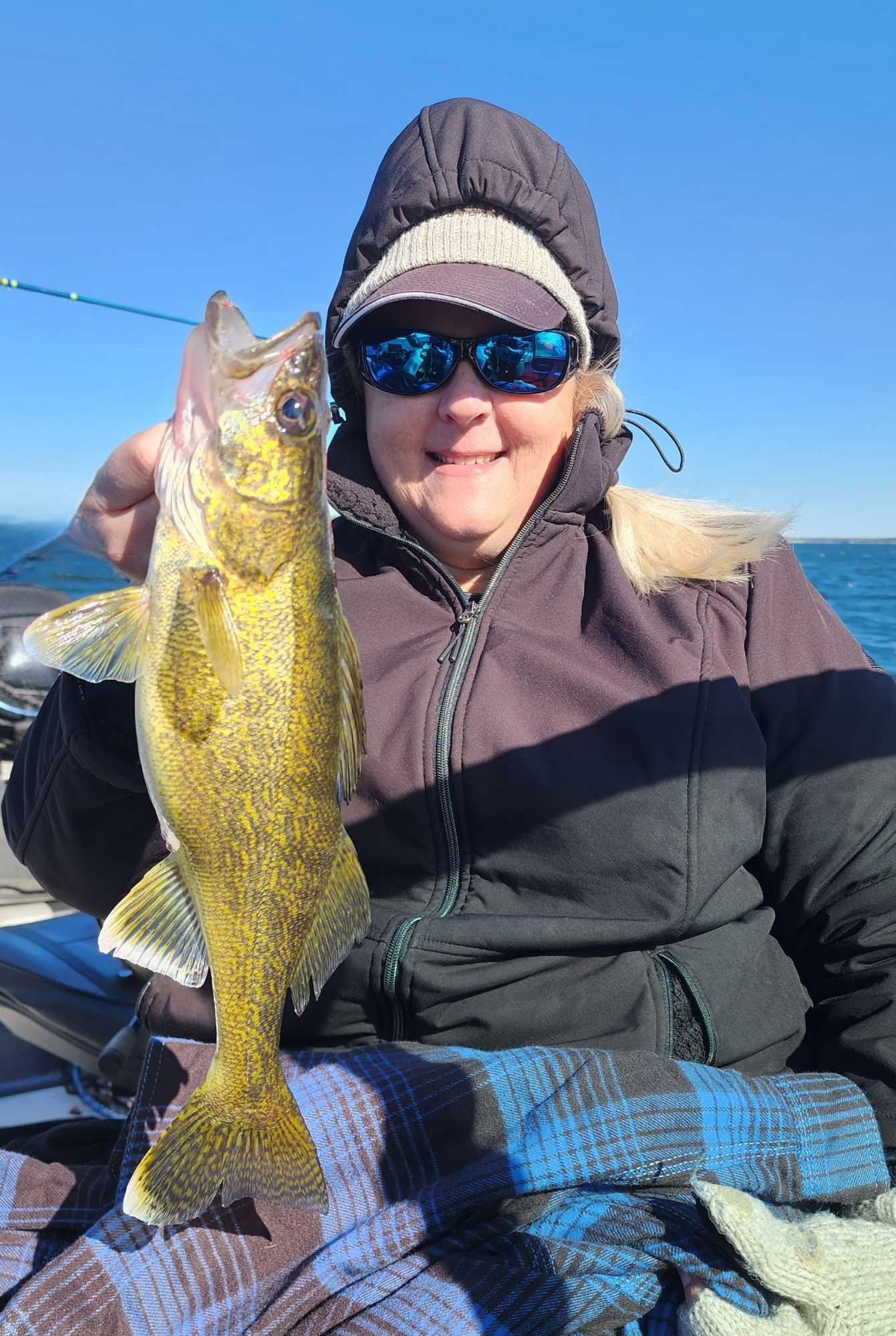 Fresh caught walleye from Breezy Point Minnesota fishing trip