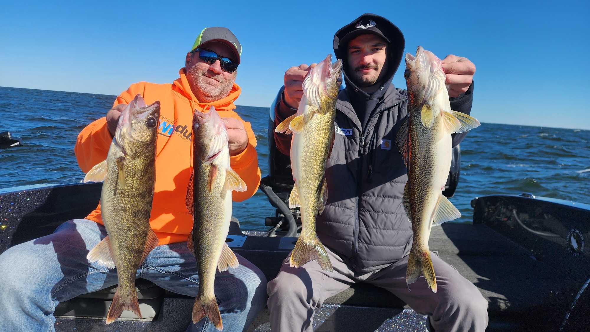 Successful walleye fishing trip at Breezy Point MN with four caught walleye displayed on boat