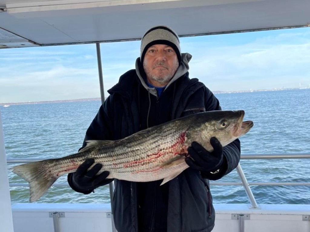 Striped bass caught by angler in New Jersey