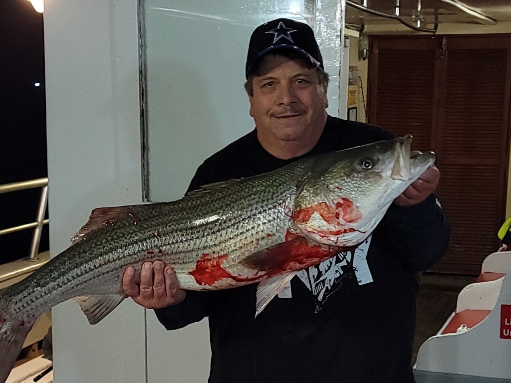 Striped bass fishing in Keyport