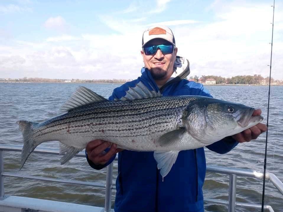 Striped bass caught while fishing in Keyport