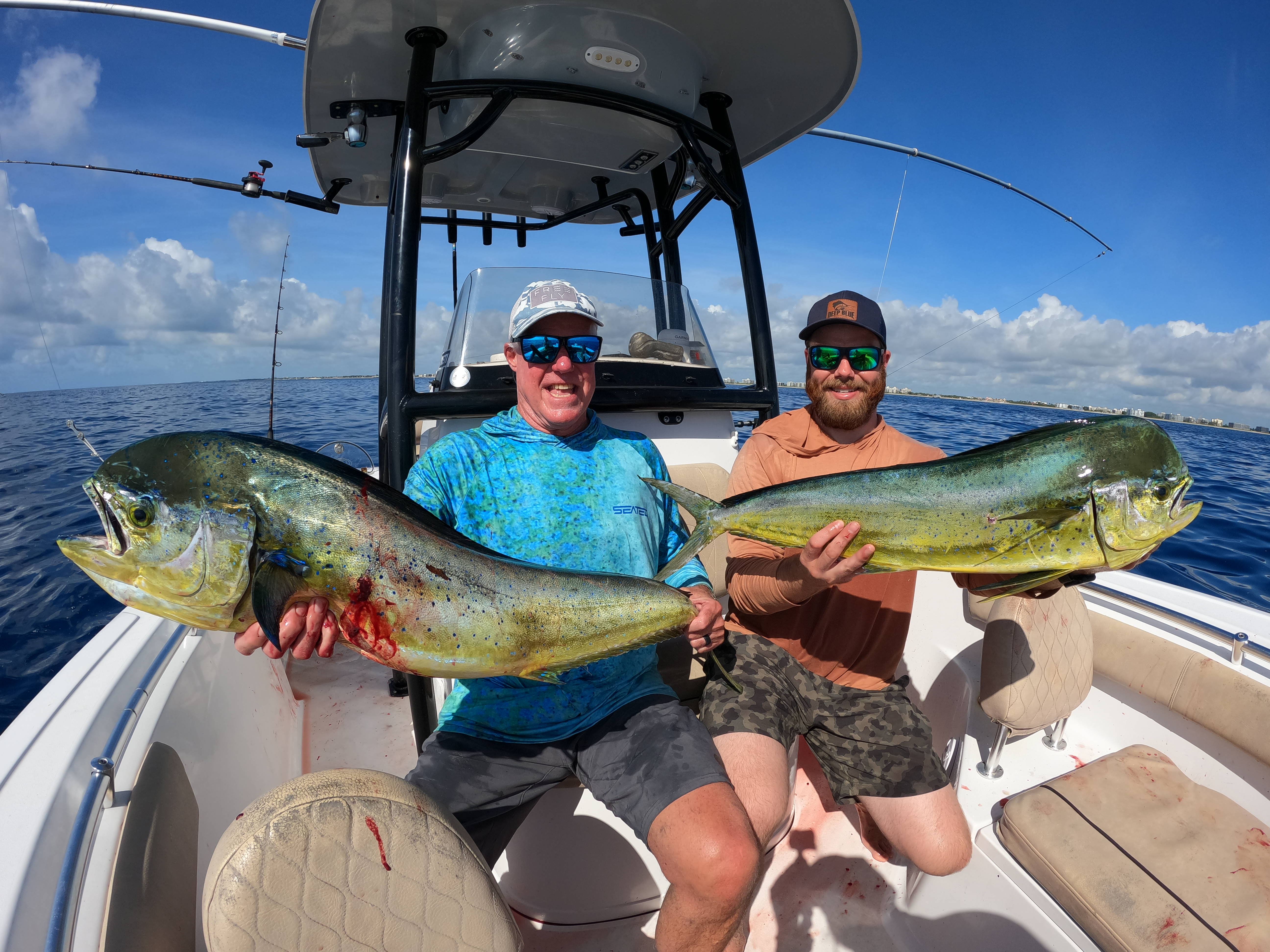 Two mahi mahi or common dolphinfish in Delray Beach